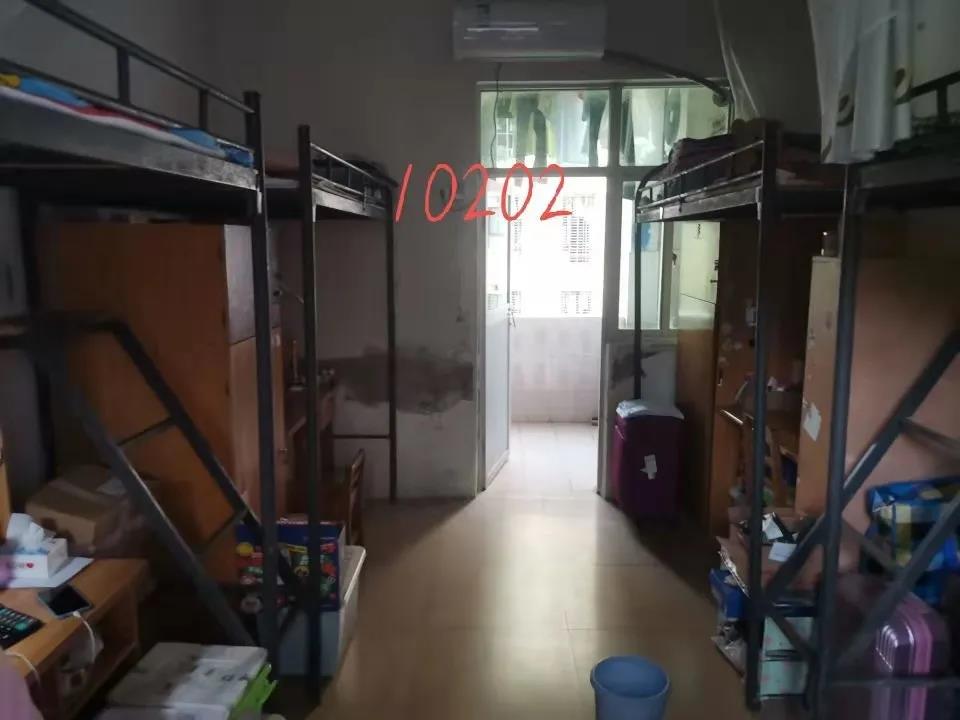 1617700785238559.jpg