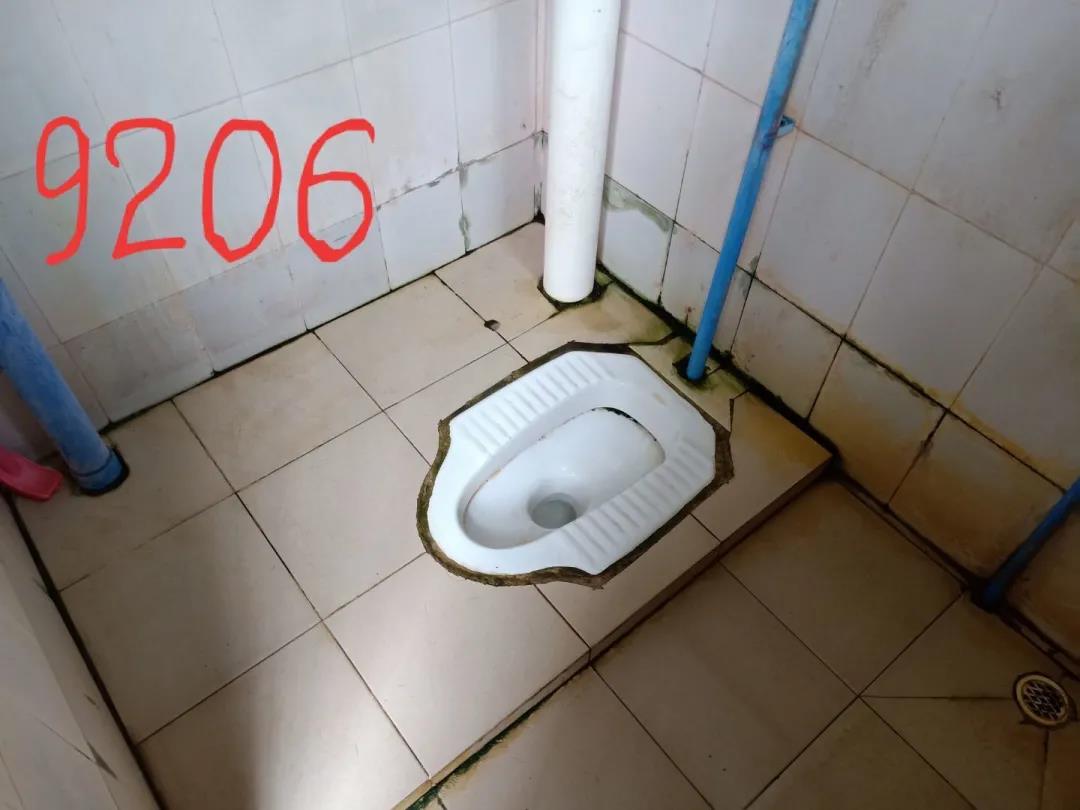 1618301970791820.jpg